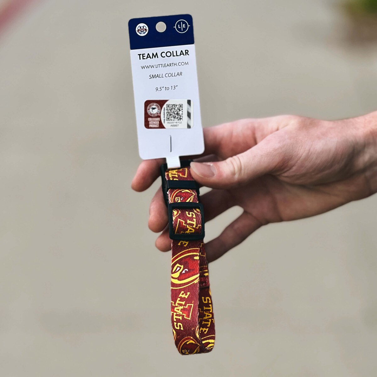 I-State Pet Collar (Small)